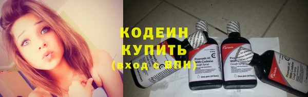 ПСИЛОЦИБИНОВЫЕ ГРИБЫ Тутаев