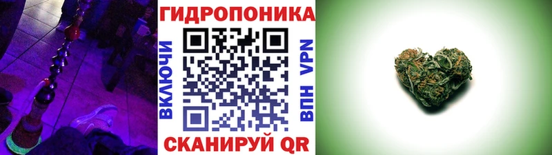 Шишки марихуана марихуана  Суворов 